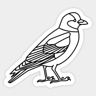 Jackdaw Sticker